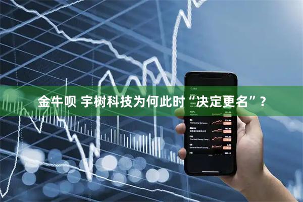 金牛呗 宇树科技为何此时“决定更名”？